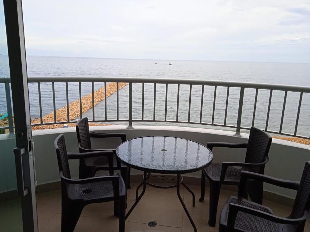 En Palmetto Cartagène