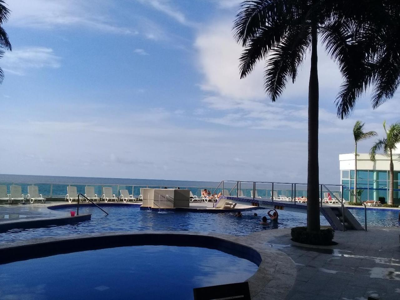 En Palmetto Cartagène