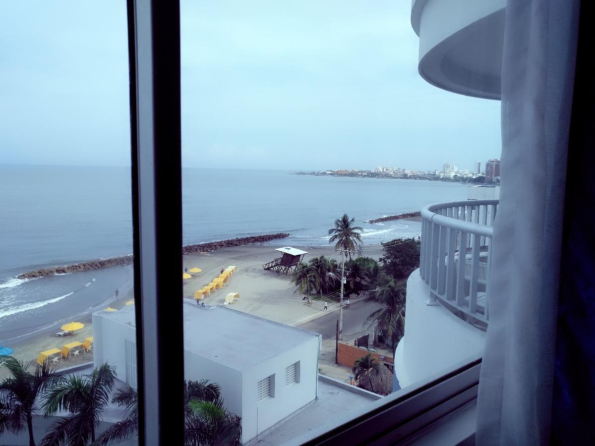 En Palmetto * Cartagène